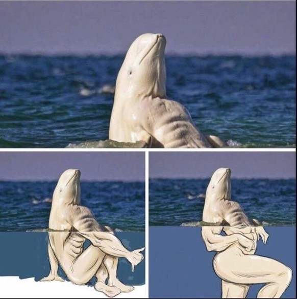 Keine Angst, es sieht gefährlicher aus, als es ist. Hopp, PICDUMP!
Sexy Wal für zwischendurch