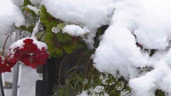 Wo eben noch Blumen blühten, ist in Andermatt bereits Winter.