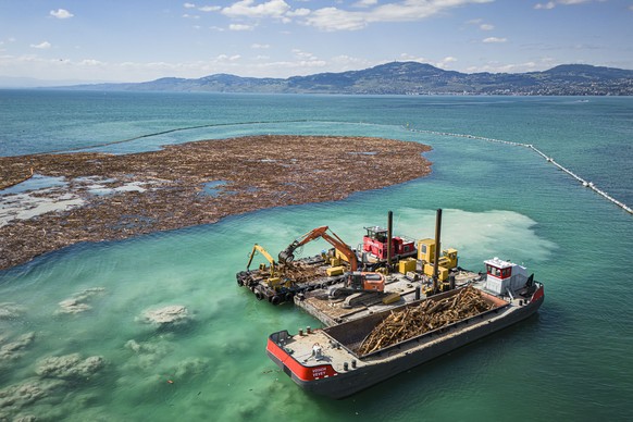 epa11434616 A picture taken with a drone shows excavators on barges collecting and sorting an estimated 7000 to 9000 cubic meters of floated wood at the mouth of the Rhone river on Lake Geneva in le B ...