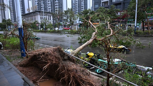 epa12402160 An uprooted tree on the roadside in Yangjiang City, Guangdong Province, China, 24 September 2025. Typhoon Ragasa, the 18th typhoon of 2025, made landfall in south China&#039;s Guangdong Pr ...