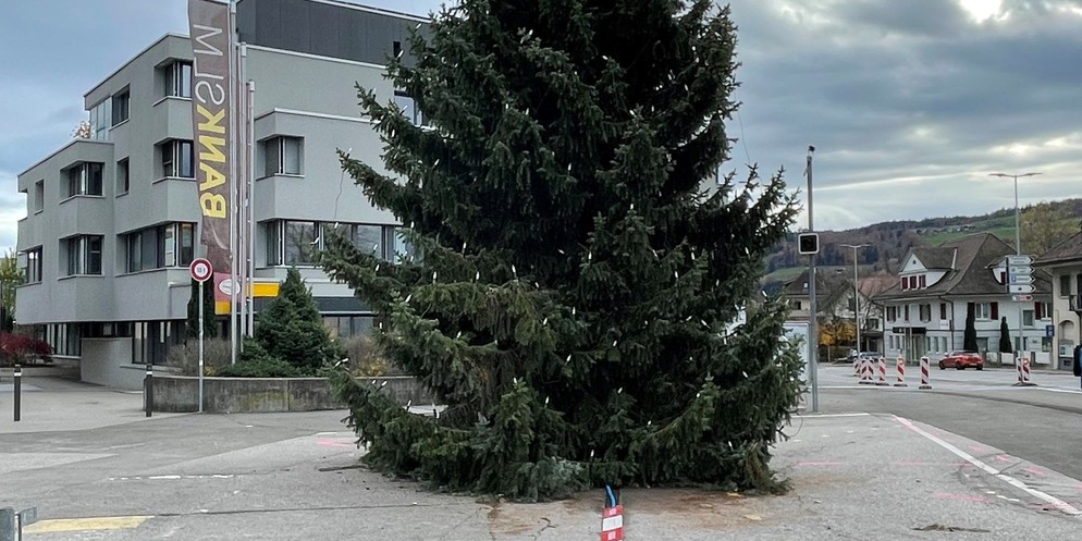 Weihnachtsbaum mit Solaranlage in Münsingen.