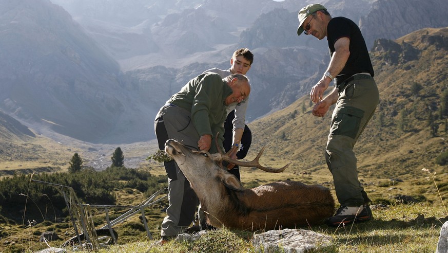 Jäger und Helfer aus dem Unterengadin präparieren im September 2006 einen Hirsch für den Abtransport ins Tal nach Scuol.