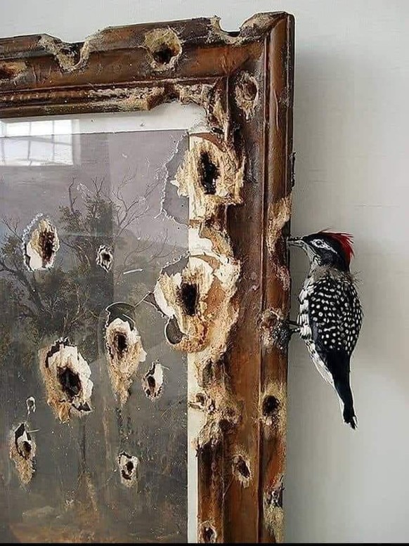 PICDUMP 400! 亞\nThema des heutigen Kunstbeitrags:
&#039;Kunst und ihre Liebhaber&#039;