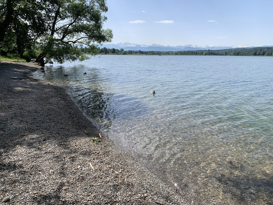 Greifensee, Bild: reto fehr