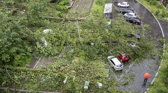 Umgestuerzte Baeume und abgebrochene Aeste haben nach dem schweren Unwetter auf dem Kaeferberg in Zuerich am Dienstag, 13. Juli 2021, Autos begraben und stark beschaedigt. Kraeftige Gewitter mit Stark ...