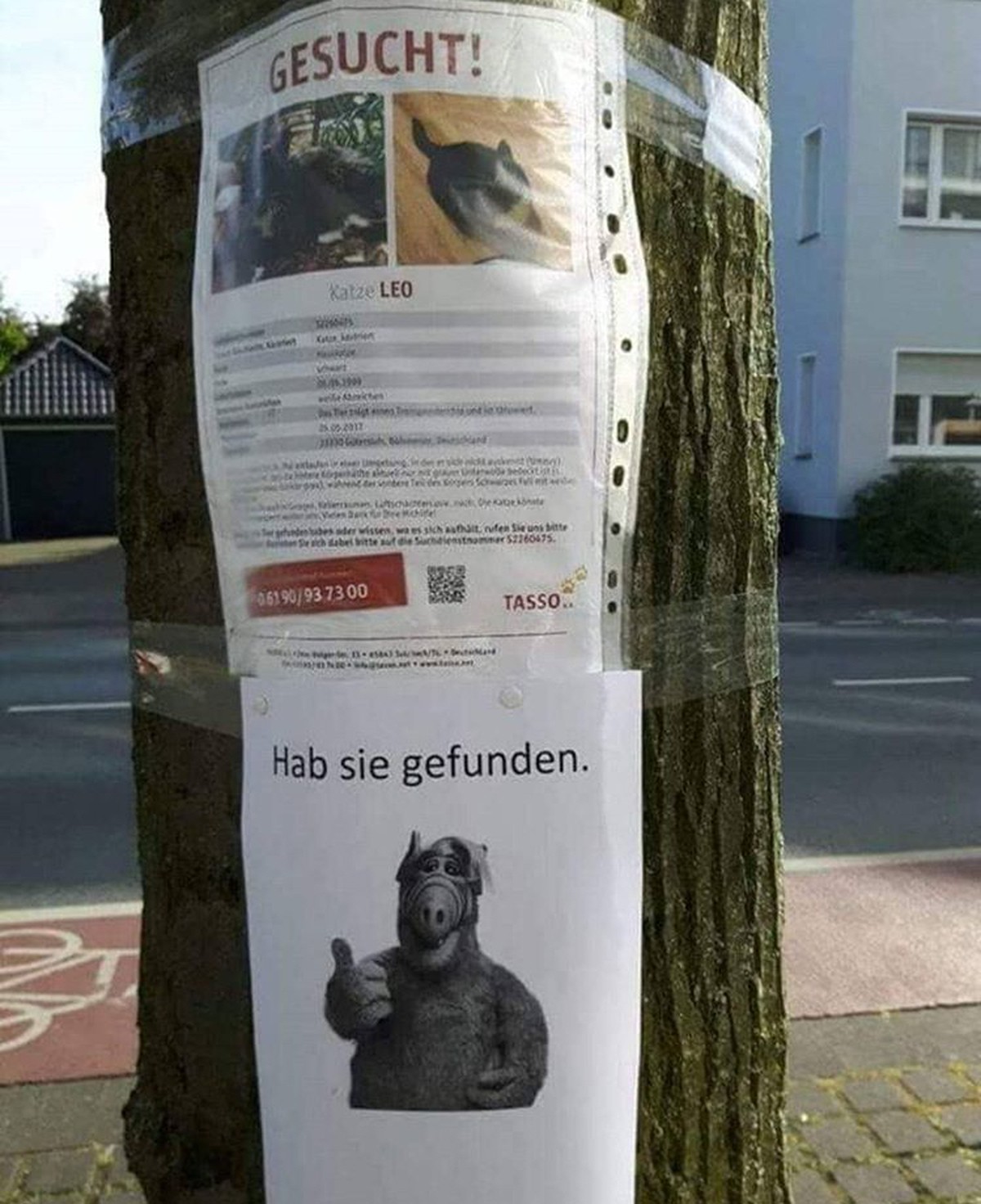 Kommen Sie, kommen Sie! PICDUMP!
Wer auch immer das war, mein Herz gehört dir...