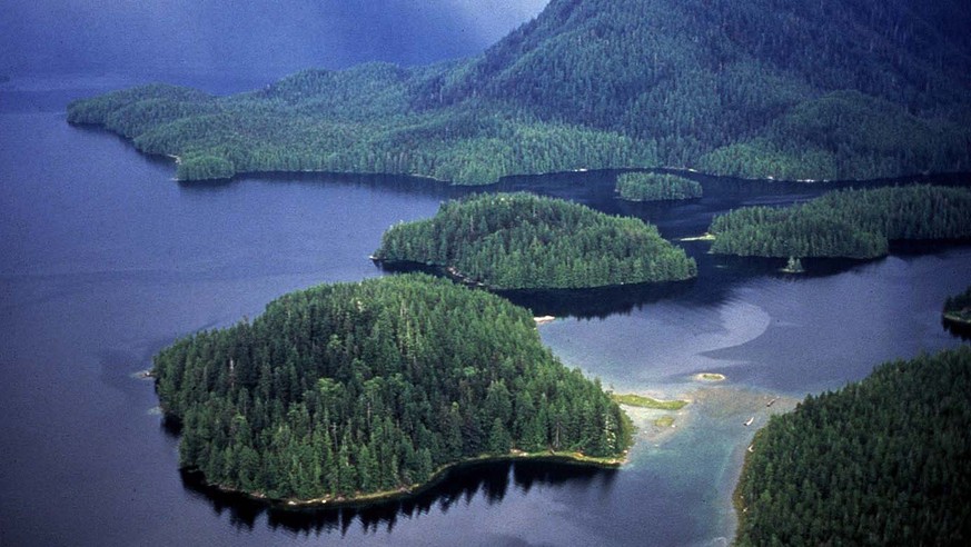 Kanadas Great Bear Rainforest.