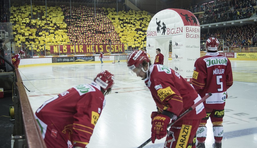 Die Tigers-Spieler und der Trainer könnten von Reto von Arx' Erfahrung profitieren.