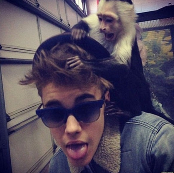 Bieber mit Äffchen Mally.