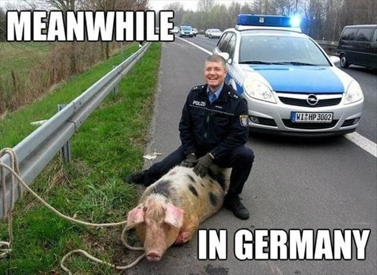 Deutscher Humor: Polizist fängt Schwein ein.