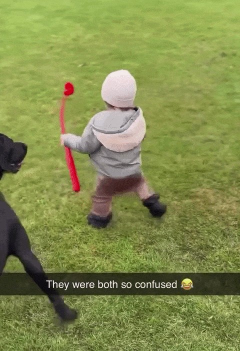 Animiertes GIF