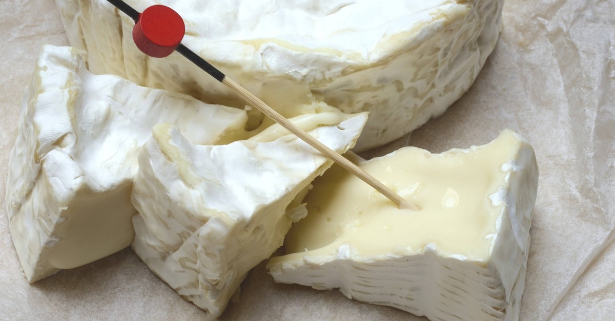 Salmonellen schneller als Bund: Käsewarnung erst nach vier Tagen