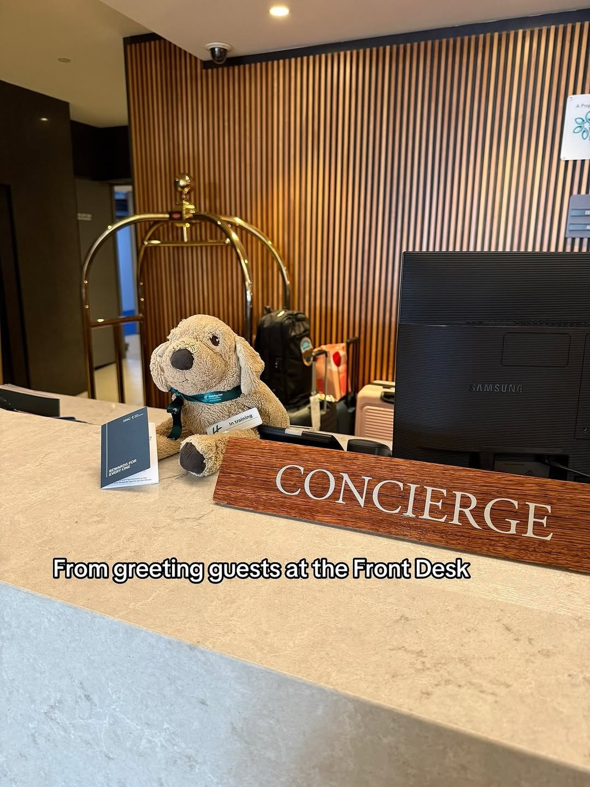 L'accueil des clients.