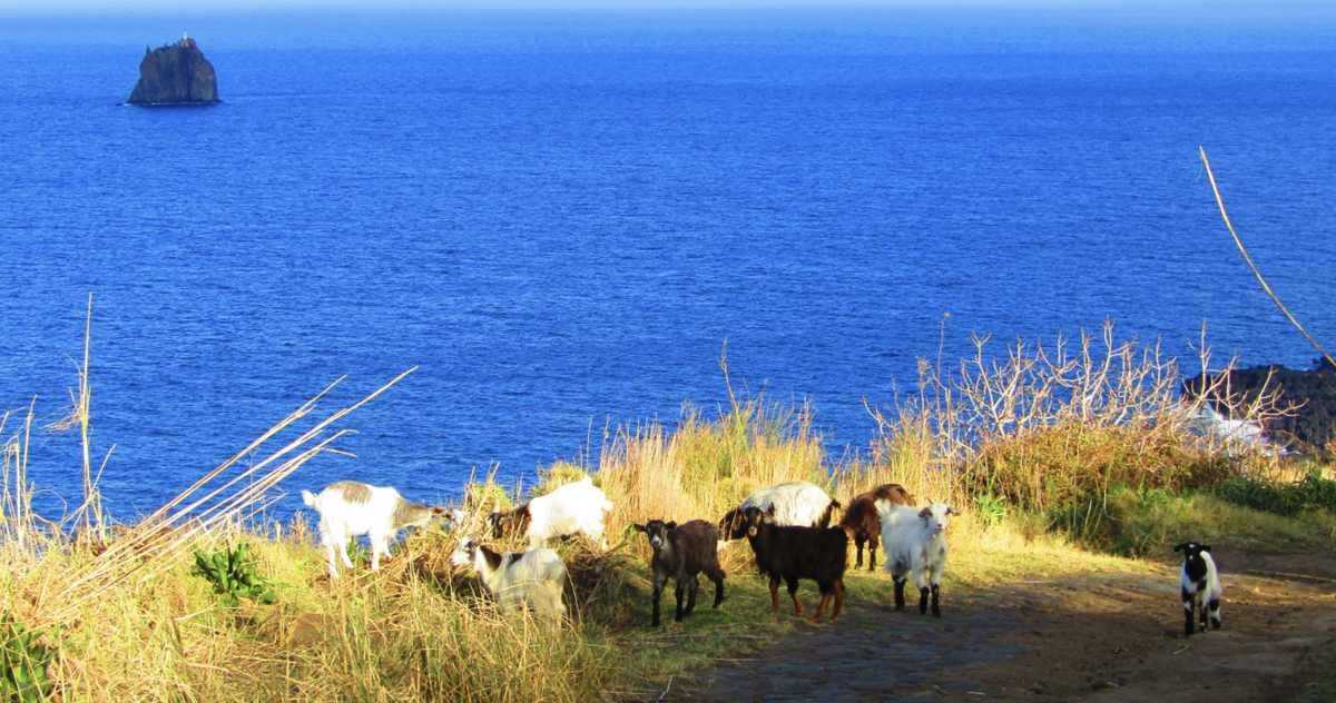 Rund 2'000 haben ein italienisches Dorf auf Stromboli eingenommen.