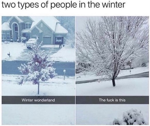 Winter Memes
