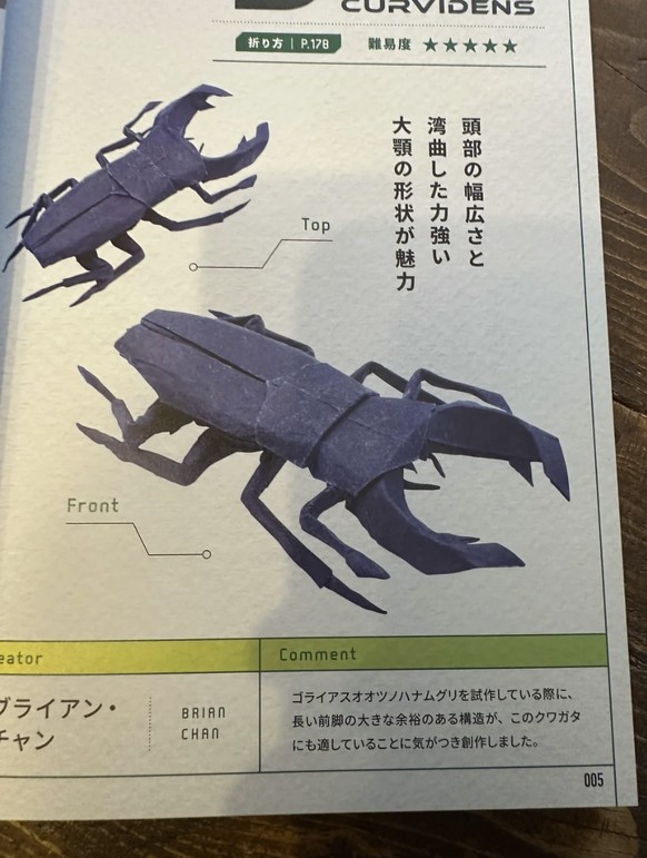 Vorstellung vs. Realität
