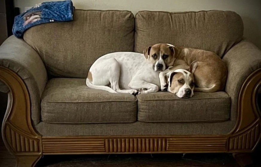 AccidentalRenaissance
In This House, We Rescue Each Other

https://www.reddit.com/media?url=https%3A%2F%2Fpreview.redd.it%2Fin-this-house-we-rescue-each-other-v0-6v971pdiu3ug1.jpeg%3Fauto%3Dwebp%26s%3 ...