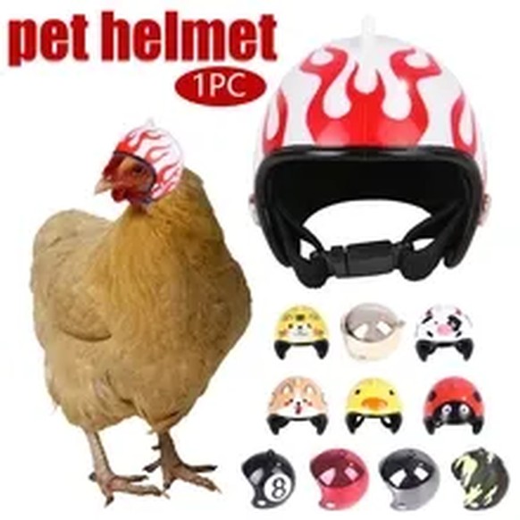 So, erst mal mit Mandarindli entspannen und: PICDUMP!\n1 dicken Huhn hat übrigens jetzt eine Harley gekauft....