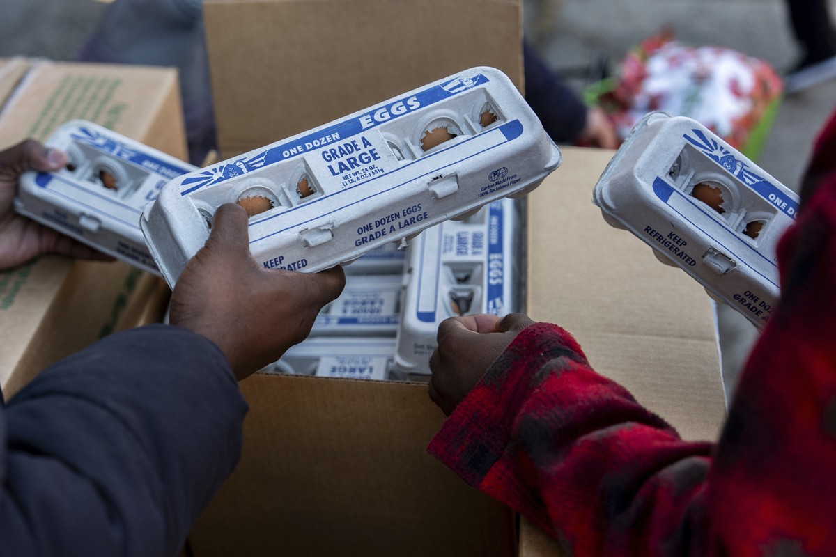 Abou Sow hands out cartons of eggs to people waiting in line to receive free eggs from FarmerJawn Agriculture, Friday, March 21, 2025, in the Harlem neighborhood of New York. (AP Photo/Julia Demaree N ...