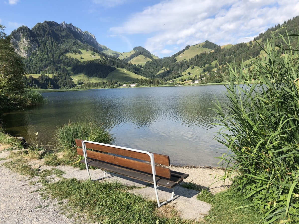 Rauszeit Schönste Aussichtsbänkli der Schweiz Aussichtssitzbank Sitzbank Bankgeheimnisse Verein für Bankkultur Schwarzsee