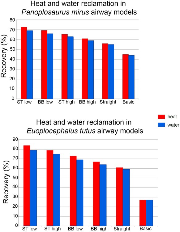 Wärme und Wasser Einsparungen zwischen allen Nasenmodellen für Panoplosaurus und Euoplocephalus