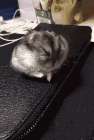 Animiertes GIF