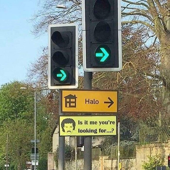 PICDUMP 410 – Du bist nicht betrunken, das ist nur El Haraldo!\nHelo Picdumpers!