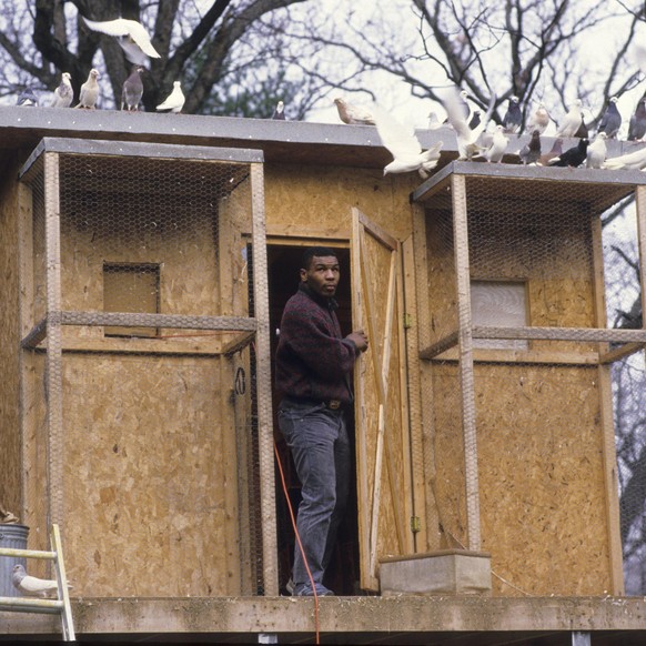 Heavyweight Boxing: Casual portrait of Mike Tyson outside of his pigeons coup at the home of his surrogate mother Camille Ewald. Catskill, NY 12/1/1985 CREDIT: Manny Millan (Photo by Manny Millan /Spo ...