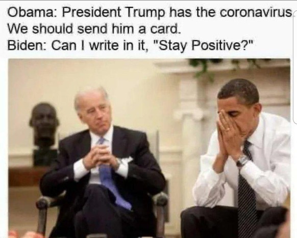 Keine Angst, es sieht gefährlicher aus, als es ist. Hopp, PICDUMP!
Biden und sein wichtigster Berater