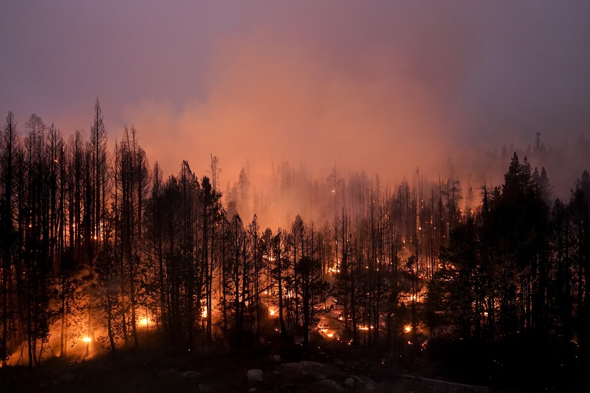 FILE - Trees scorched by the Caldor Fire smolder in Eldorado National Forest, Calif., Friday, Sept. 3, 2021. Scientists say forest is disappearing as increasingly intense fires alter landscapes around ...