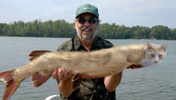 Cat fish