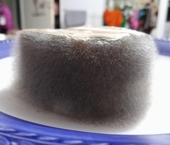 Mold sponge