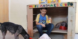 Philippinischer Junge gründet ein Tierheim und inspiriert so die ganze Welt