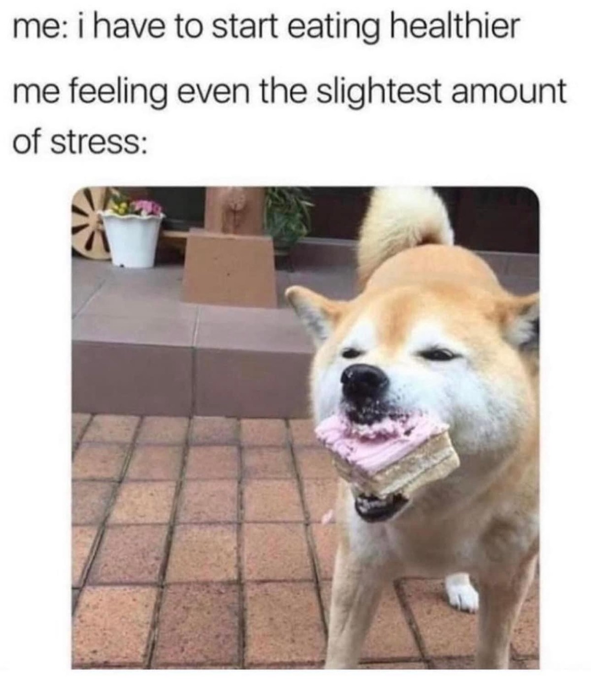 imgur