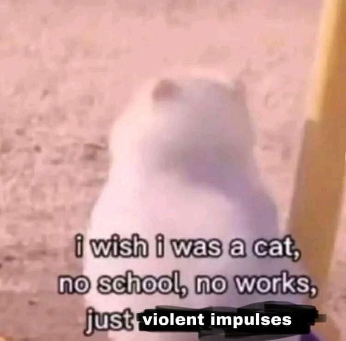 J'aimerais être un chat, pas d'école, pas de boulot, juste des pulsions de violence.