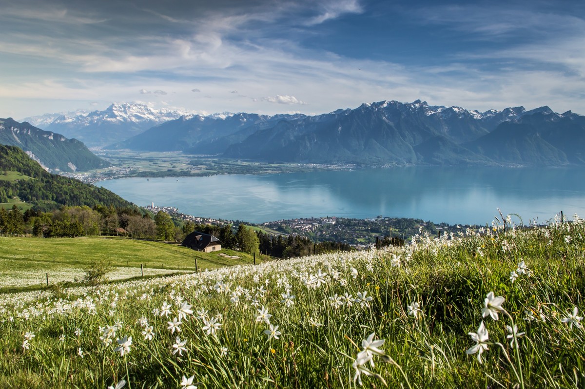 La magnifique vue sur les montagnes et le lac Léman.