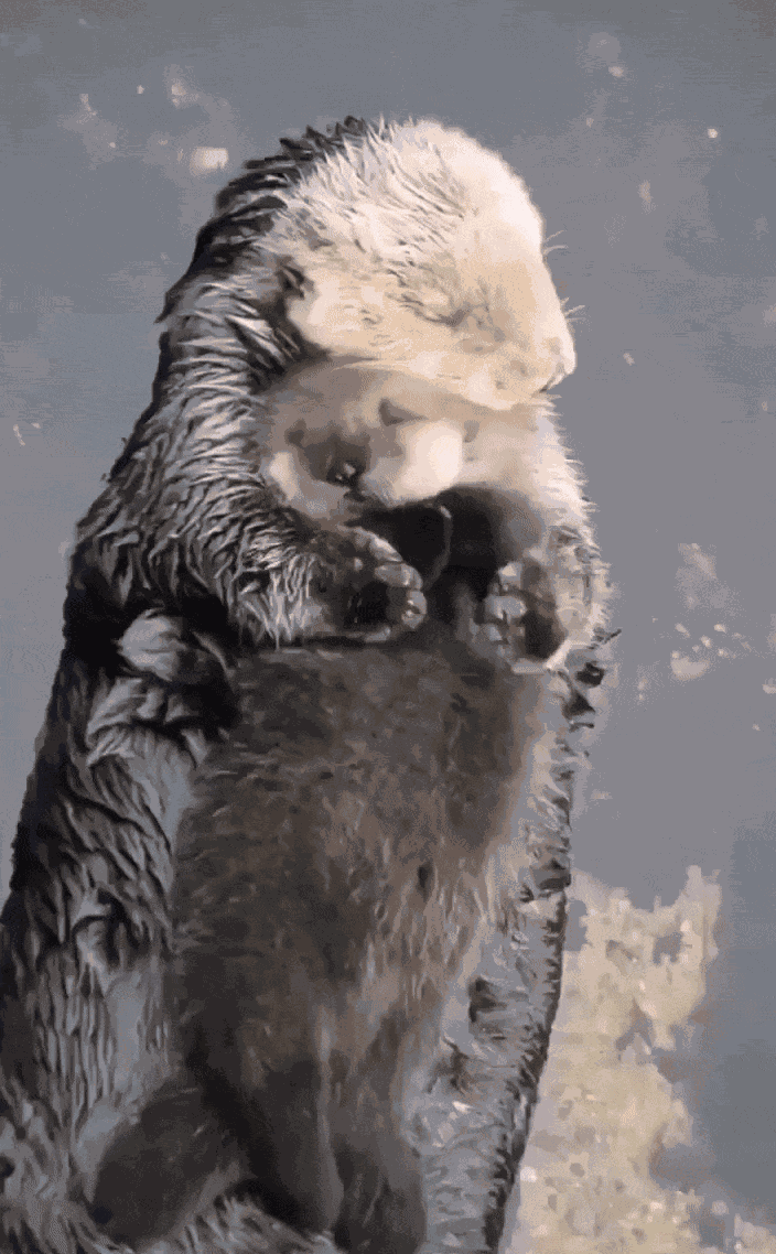 Animiertes GIF