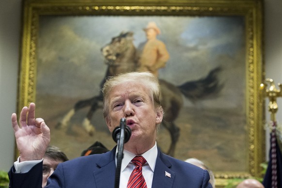 epa07415971 US President Donald J. Trump delivers remarks in front of a portrait of late US President Theodore Roosevelt, at a signing ceremony for an executive order on a &#039;President&#039;s Roadm ...