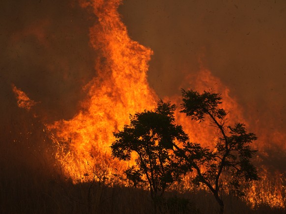 Der Cerrado brennt im September 2021.