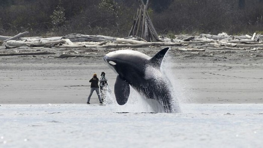2025 Ocean Photographer Of The Year Awards