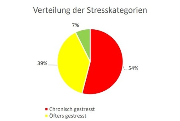 Stress-Selbsttest: Verteilung der Stresskategorien.