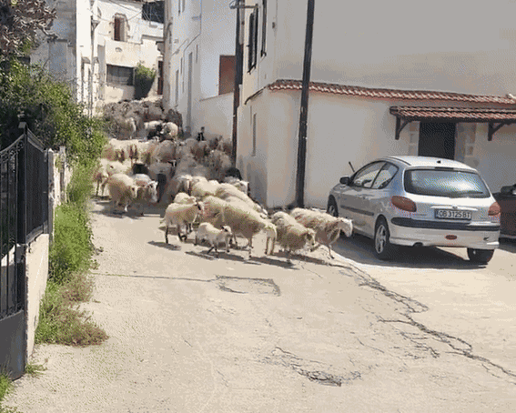 Animiertes GIF