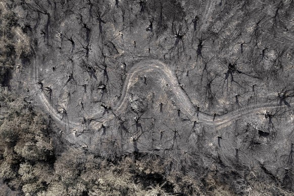 epa12320245 An aerial view shows a burned area after a forest fire in Larouco, Ourense, northwestern Spain, 23 August 2025 (issued 24 August 2025). The forest fire, considered the biggest forest fire  ...