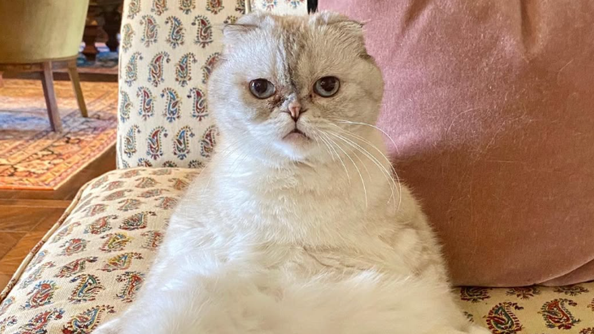 Olivia Benson