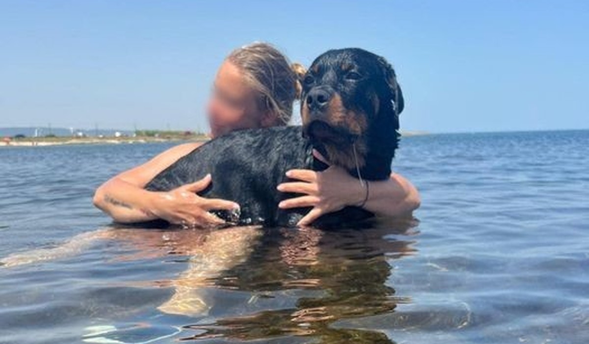 Cody et sa propriétaire.