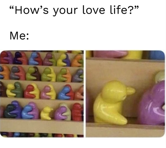 Lustige Single Memes