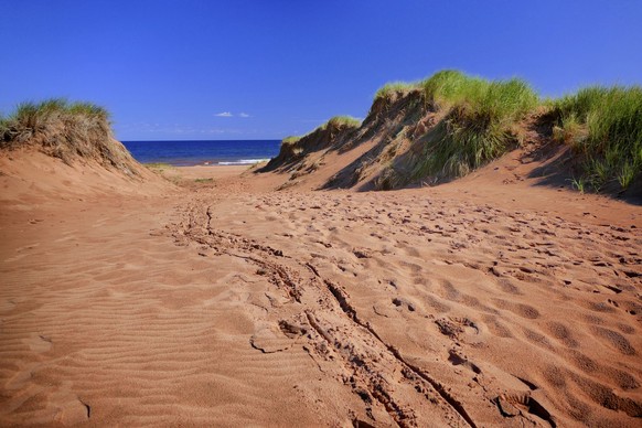 rötlicher Sandstrand in Charlottetown, Kanada