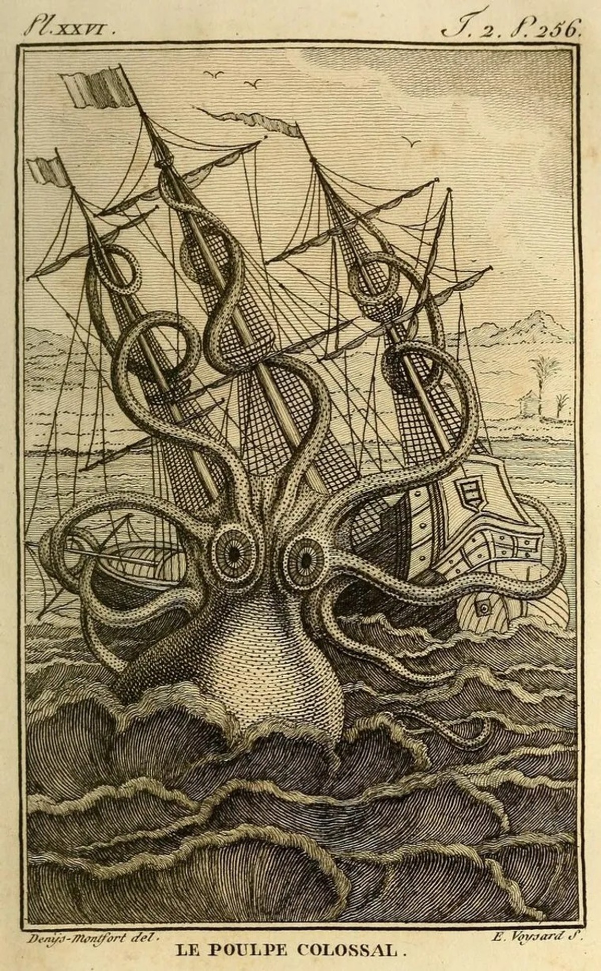 Die Zeichnung von Pierre Denys aus dem Jahr 1801 stellt einen gigantischen Oktopus dar, der, Berichten zufolge, eine Gruppe von Seeleuten vor der Küste Angolas angegriffen haben soll.