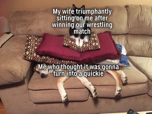 https://www.reddit.com/r/absolutelynotme_irl/comments/e62iol/absolutelynotme_irl/
