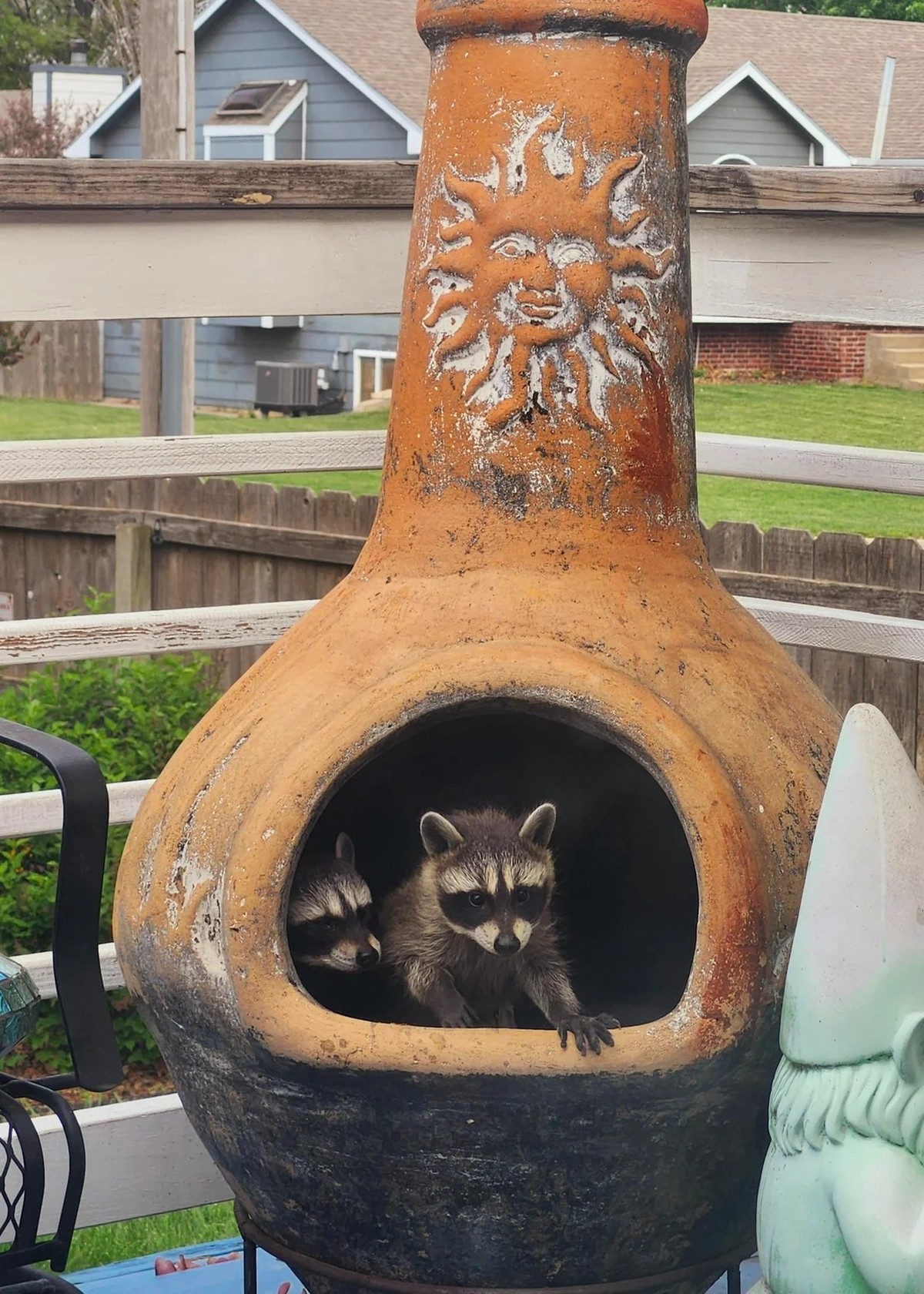cute news tier waschbär

https://www.reddit.com/r/Raccoons/comments/1ke9v4g/babies/